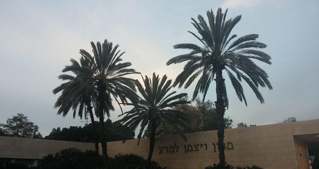 Palmeiras em frente ao Instituto Weizmann de Ciências, em Israel. (Foto: Instituto Weizmann)