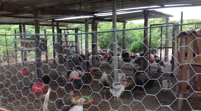 Associação Ebenézer