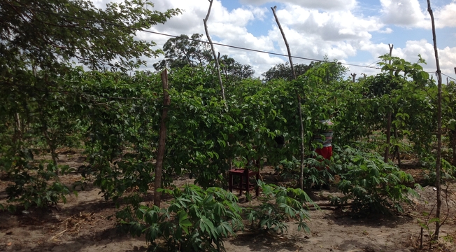 Associação Ebenézer