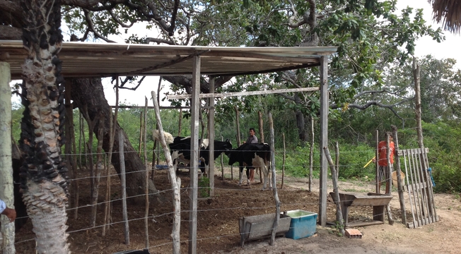 Associação Ebenézer