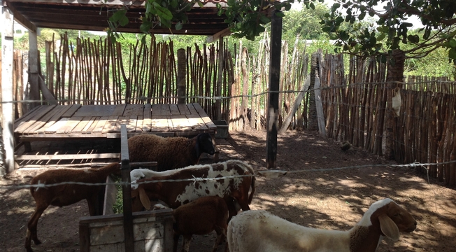 Associação Ebenézer