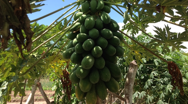 Associação Ebenézer