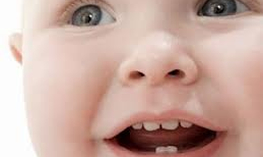 dentes de bebês