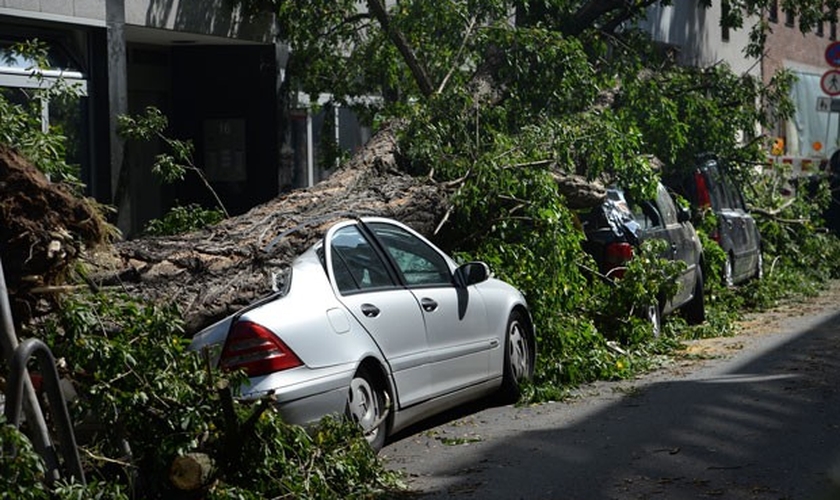 Árvores caídas sobre carros são vistas nesta terça-feira (10) em Duesseldorf, na Alemanha, após tempestade elétrica que causou seis mortes.