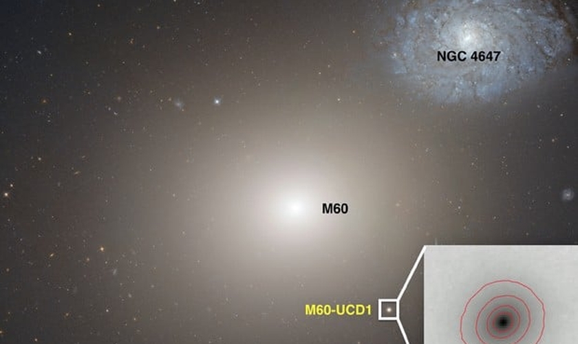 Imagem feita pelo telescópio espacial Hubble mostra a galáxia anã M60-UCD1, ponto claro abaixo e à direita da galáxia maior, M60
