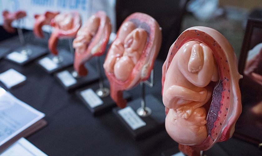 Bebês são desmembrados por médicos abortistas em clínicas de aborto. (Foto: Scott Olson/Getty Images)