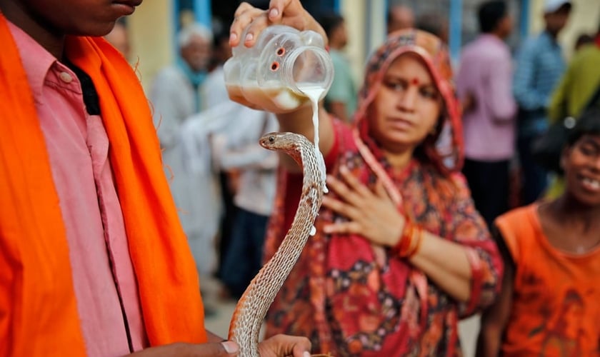 Mulher hindu derrama leite em uma cobra como oferta, em Allahabad, na Índia. (Foto: AP Photo/Rajesh Kumar Singh)
