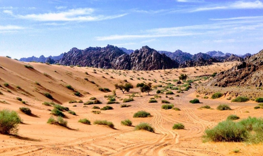 Deserto do Egito. (Foto: Rabah al-Shammary / Unsplash)