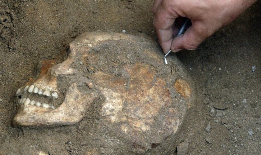Arqueólogo descobre o crânio de um habitante de Sídon, que já foi um porto cananeu na costa do Líbano. (Foto: Mahmoud Zayat, AFP/Getty Images)