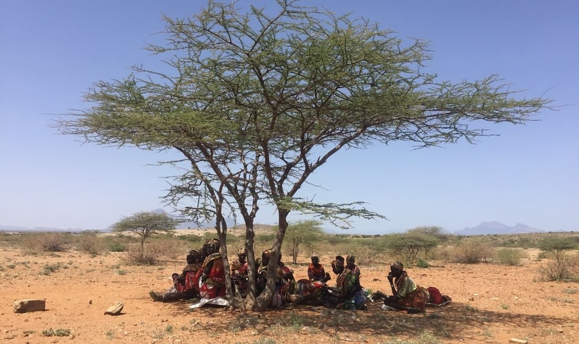 Grupo se reúne debaixo de árvore norte do Quênia, para ouvir Bíblia em áudio movida a energia solar. (Foto: World Mission)
