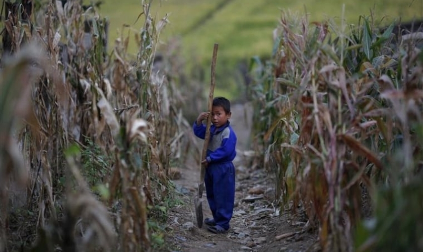 Criança norte-coreana se segura pá em um campo de milho murcho em uma parte do país afetada pela crise pandêmica. (Foto: Reuters)