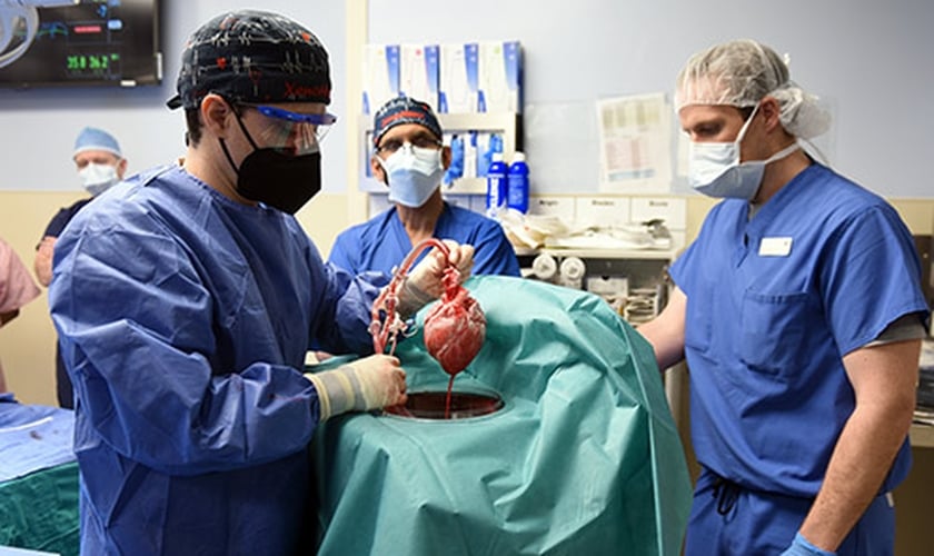 Momento da cirurgia para o transplante de coração de porco. (Foto: Divulgação/University of Maryland)