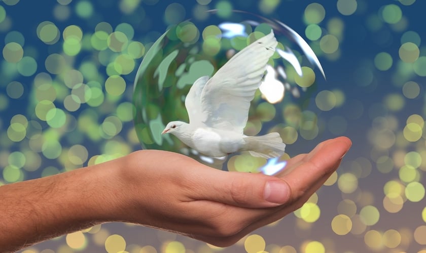 Pomba branca é símbolo de paz mundial. (Foto: Pixabay)