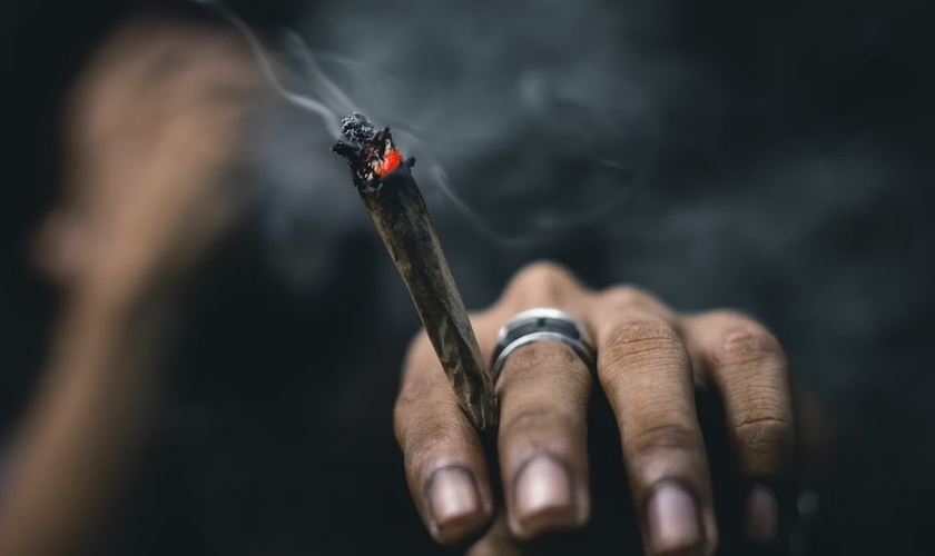 Maconha é altamente prejudicial à saúde. (Foto representativa: Unsplash/Ahmed Zayan)