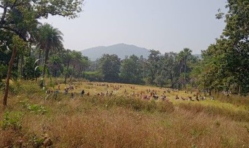 Um campo saqueado na aldeia de Michwar. (Foto: CSW)