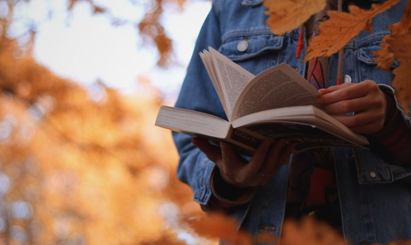 Imagem Ilustrativa. (Foto: Reprodução/Unsplash/anotherxlife)