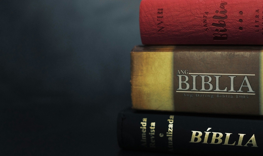 (Foto: Unsplash/Marjhon Obsima)