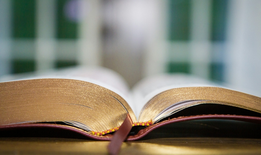 (Foto: Unsplash/Jonathan Wells)