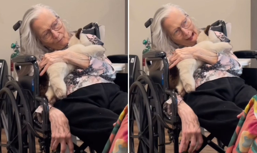 A idosa testemunhando sobre Jesus. (Foto: Reprodução/Instagram/Emily Reynolds)