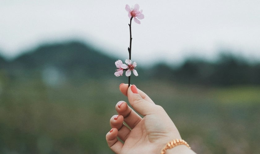 (Foto: Thirteen .J / Unsplash)