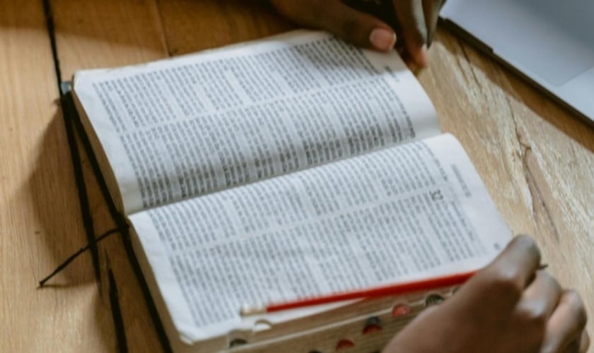 Imagem ilustrativa. (Foto: Pexels/Tima Miroshnichenko).