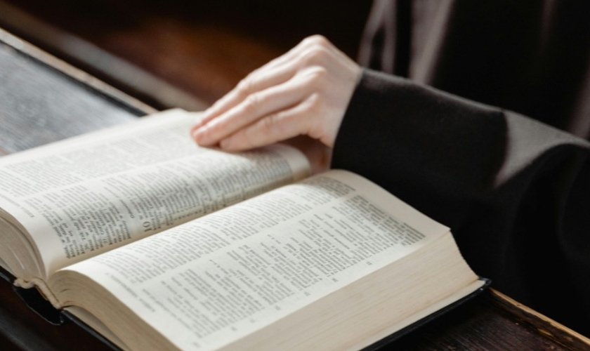 Imagem ilustrativa. (Foto: MART PRODUCTION).