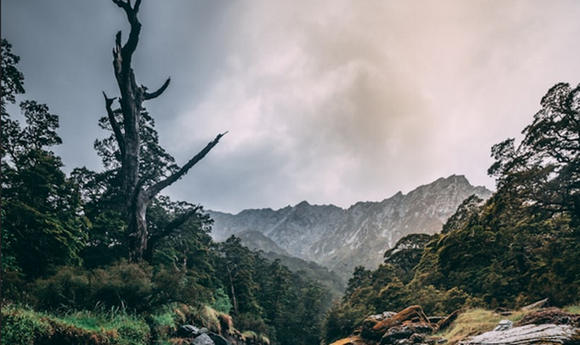 (Foto: Timothy Chan / Unsplash)