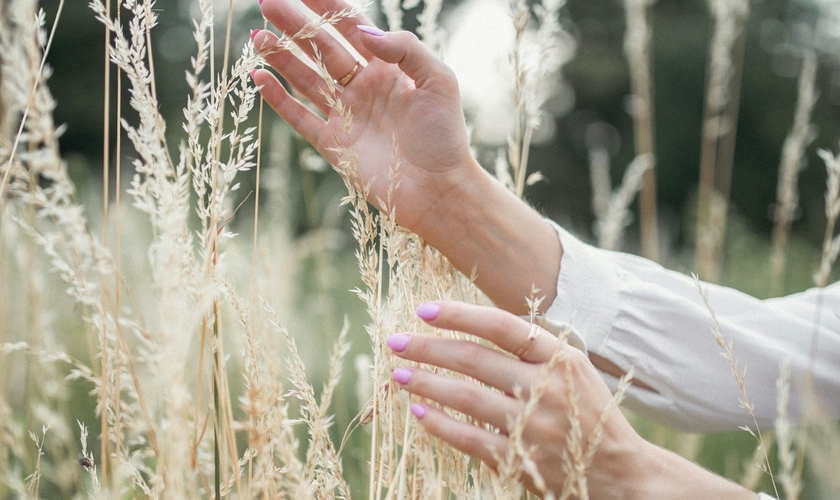 (Foto: Unsplash/Taisiia Stupak)