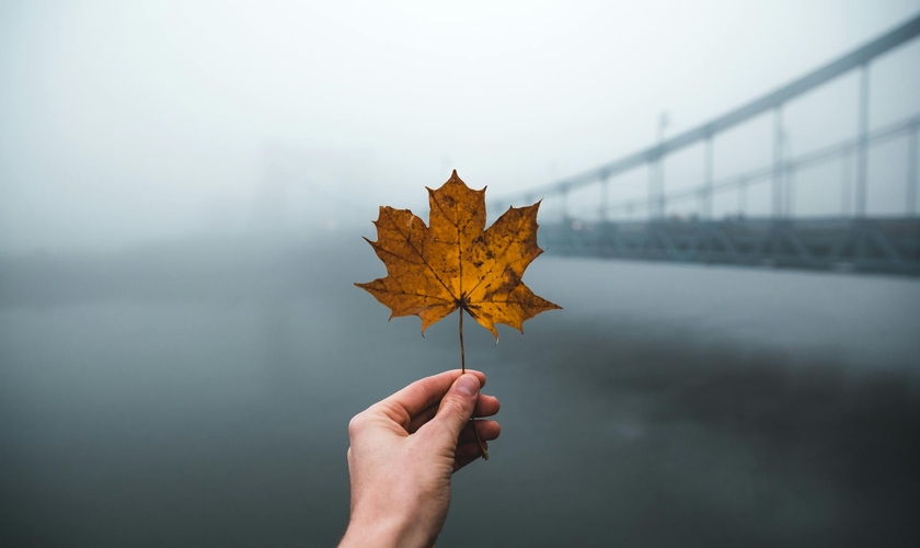 (Foto: Mateusz Sałaciak/Unsplash)