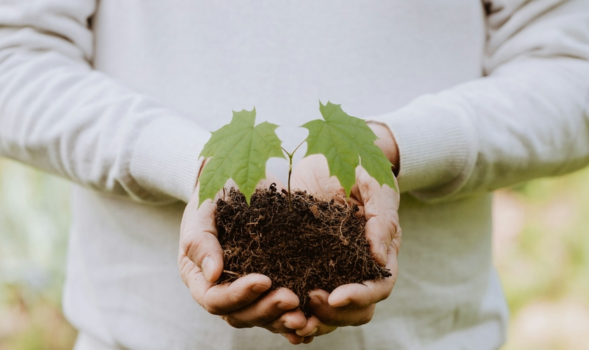 (Foto ilustrativa: Unsplash/Madara)