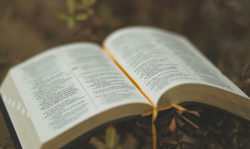 (Foto: Oscar Ivan Esquivel Arteaga / Unsplash)