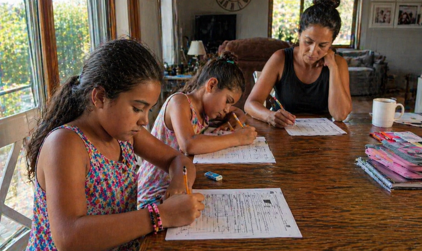 O juiz criticou a justificativa da mãe, que disse buscar o reconhecimento do homeschooling no país. (Imagem ilustrativa gerada por IA)