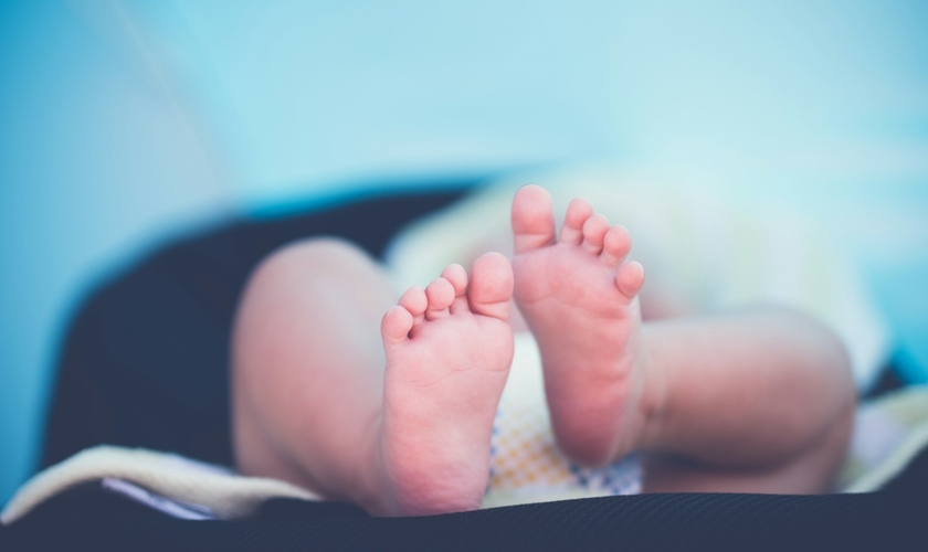 A divulgação da pesquisa provocou reações divididas na comunidade científica. (Foto: Janko Ferlič / Unsplash)