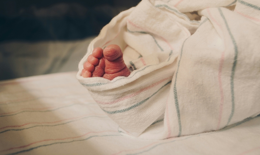 Imagem ilustrativa. (Foto: Unsplash/Kelly Sikkema).