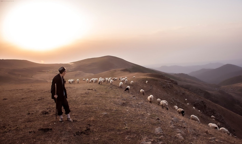 (Foto: Unsplash/Peyman Toodari)