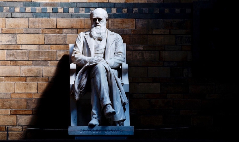 Estátua de Charles Darwin no Museu de História Natural de Londres. (Foto: CGP Grey/Flickr)