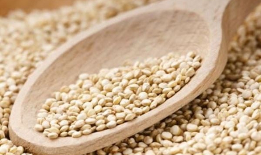 Quinoa