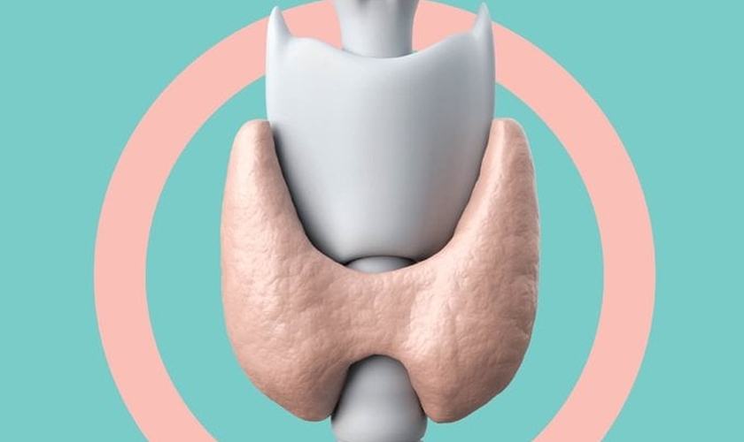 A tireoide ajuda a ditar o ritmo de funcionamento de todo o corpo.  (Foto: Jonatan Sarmento/Saúde é Vital)