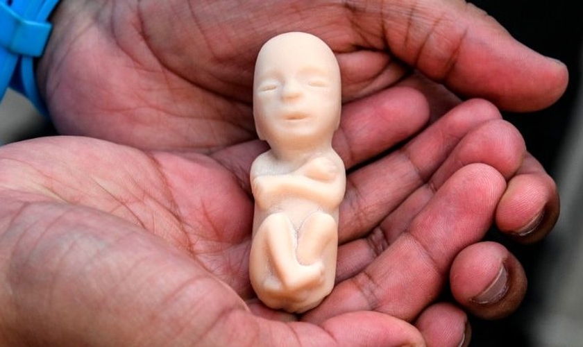 Homem segura réplica de bebê em fase de gestação. (Foto: AFP)