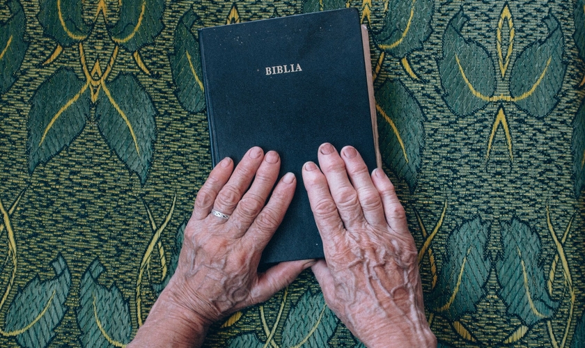 (Foto: Raul Petri/Unsplash)