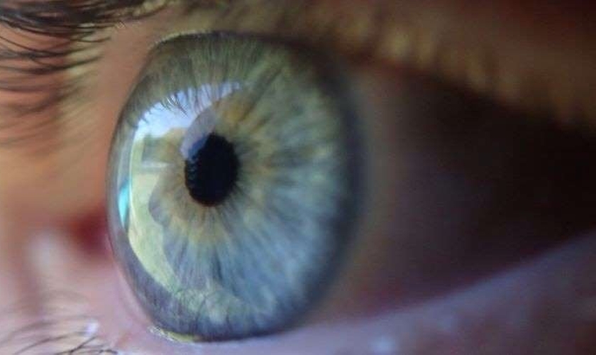 Olhos
