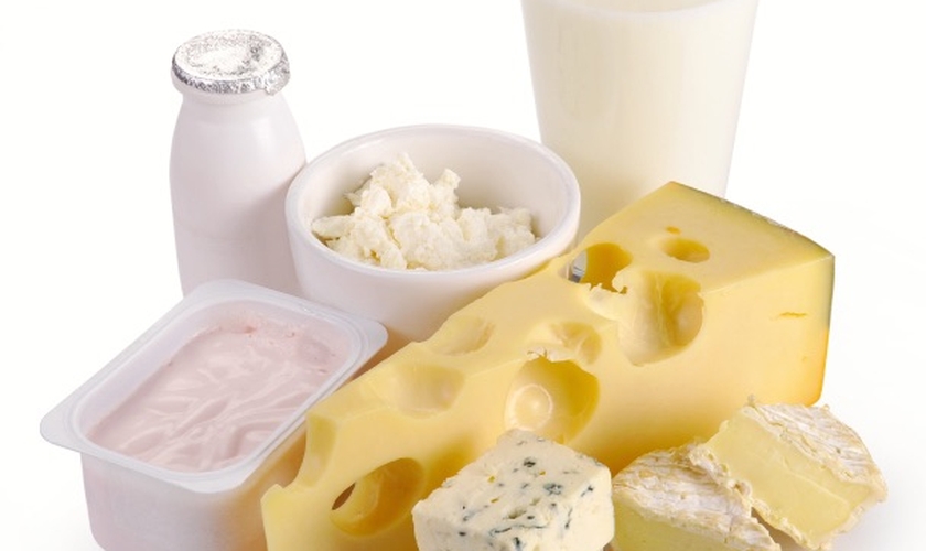 Alimentos com cálcio