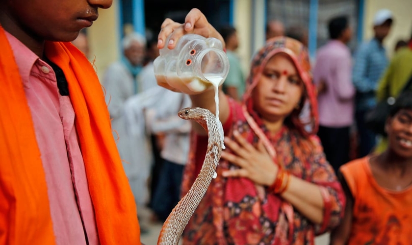 Mulher hindu derrama leite em uma cobra como oferta, em Allahabad, na Índia. (Foto: AP Photo/Rajesh Kumar Singh)