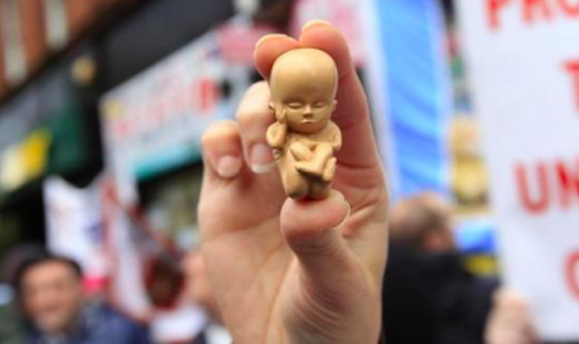 Manifestante segura modelo de um embrião de 12 semanas em uma manifestação contra o aborto em Belfast. (Foto: Reprodução/Reuters)