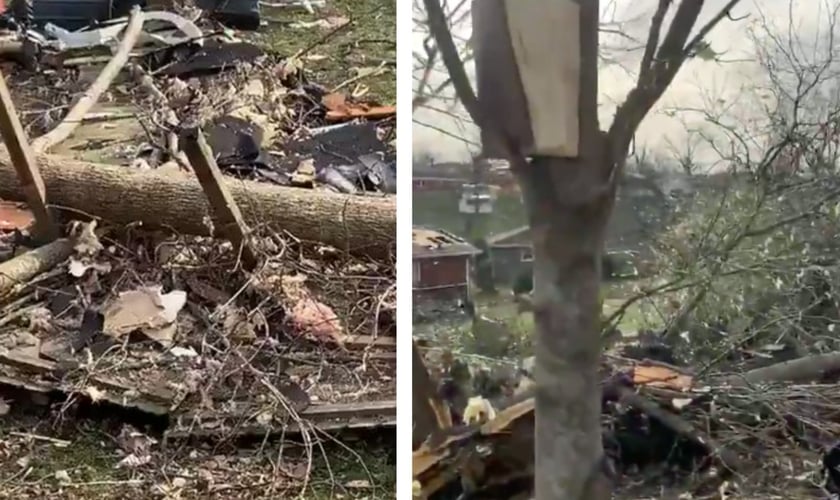 Bíblia encontrada em árvore: intacta após tornado. (Foto: Reprodução/Big Cee O’Neal)