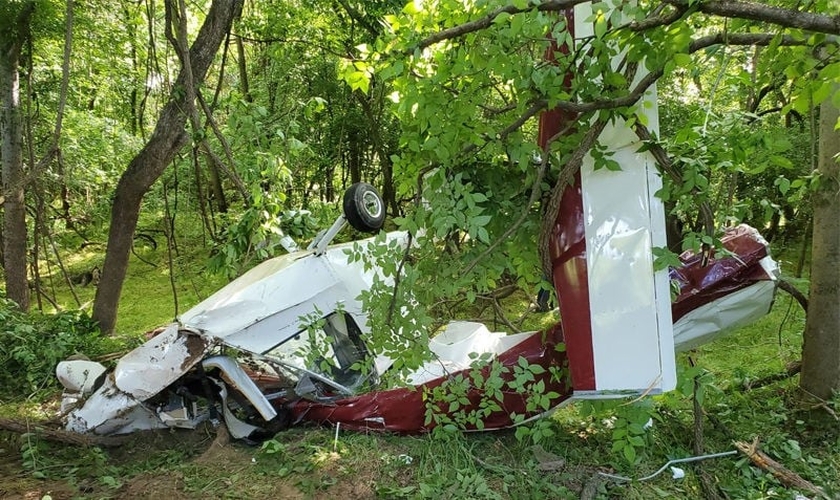 Avião destruído após queda em mata; piloto sobreviveu. (Foto: Reprodução/Facebook)