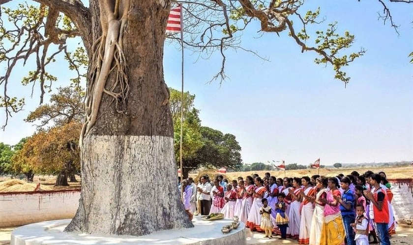 Aldeões em ritual de adoração tribal na árvore sarna. (Foto: Reprodução / Gurpreet Singh Ranchi)
