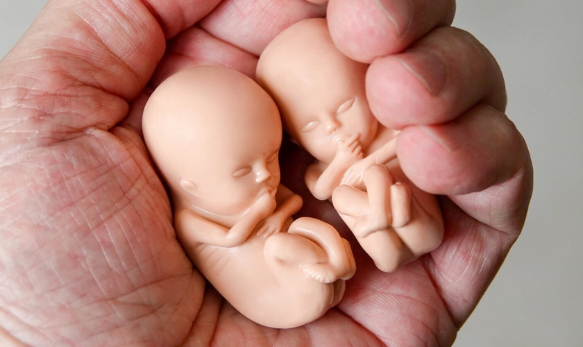 Aumento se deu em função da liberação dos procedimentos em casa em meio à pandemia. (Foto: Reprodução / Right To Life)