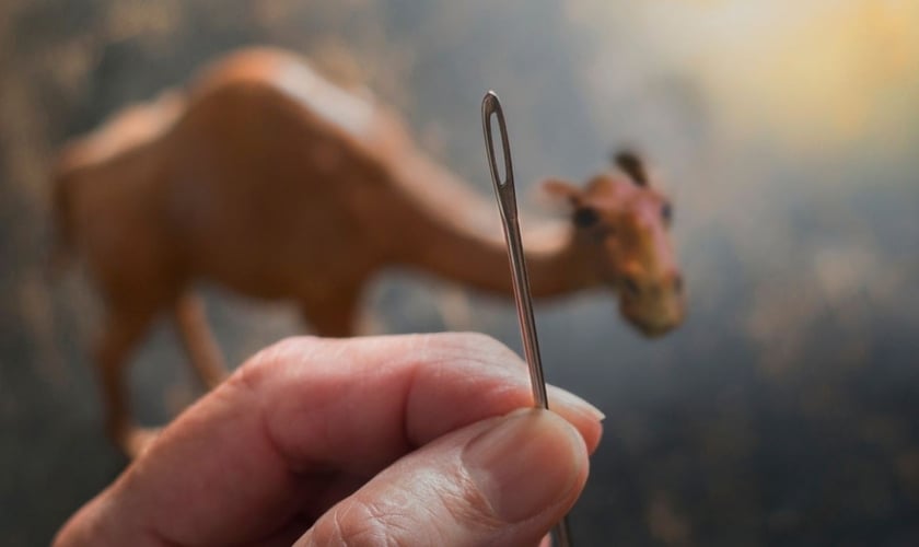 O camelo e o “fundo da agulha”. Imagem: Canva