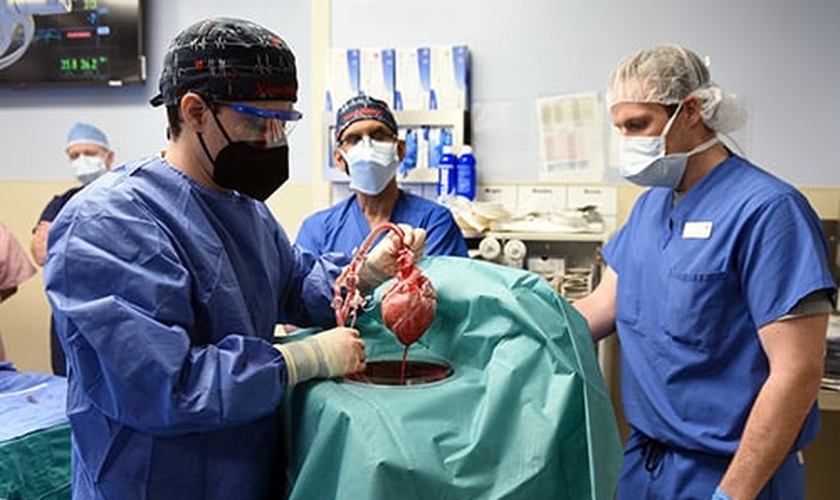 Momento da cirurgia para o transplante de coração de porco. (Foto: Divulgação/University of Maryland)